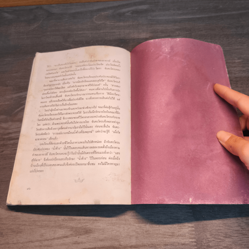 สีสันวรรณคดี ชุดบทวิจารณ์ชีวิต