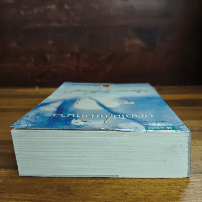 ดอกไม้ในป่าหนาว - ปิยะพร ศักดิ์เกษม