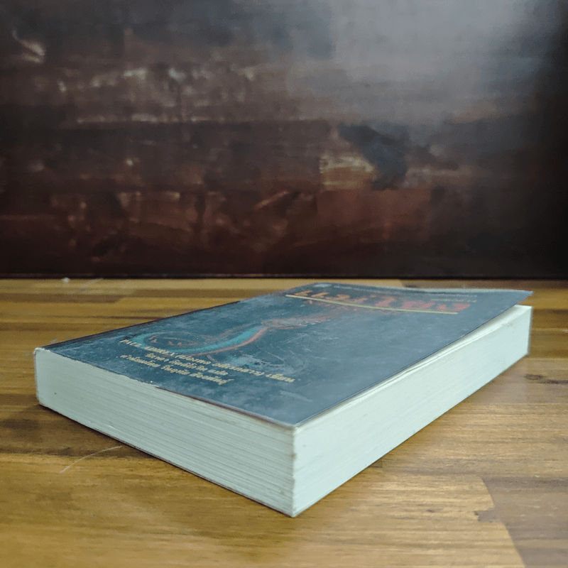 แม่โขง Mekong - ปองพล อดิเรกสาร