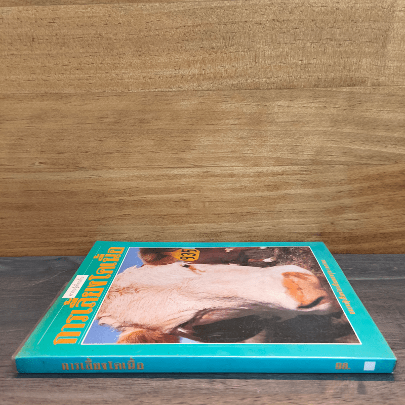 ความรู้เกี่ยวกับการเลี้ยงโคเนื้อ