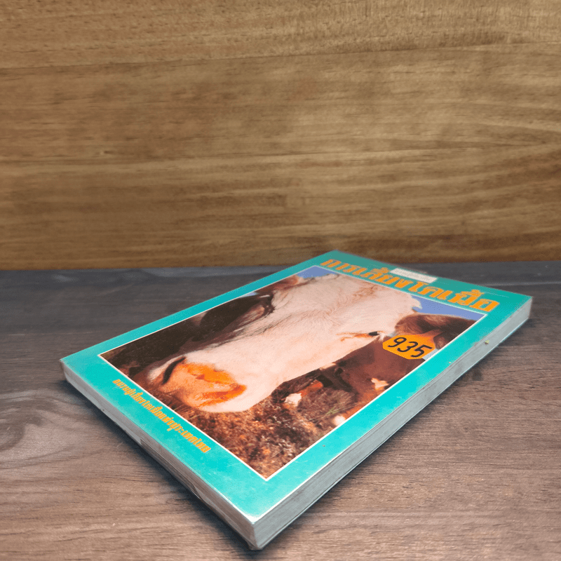 ความรู้เกี่ยวกับการเลี้ยงโคเนื้อ