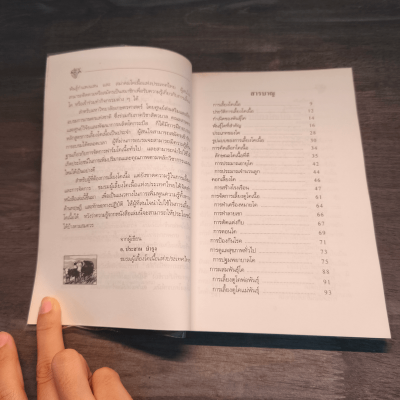 ความรู้เกี่ยวกับการเลี้ยงโคเนื้อ