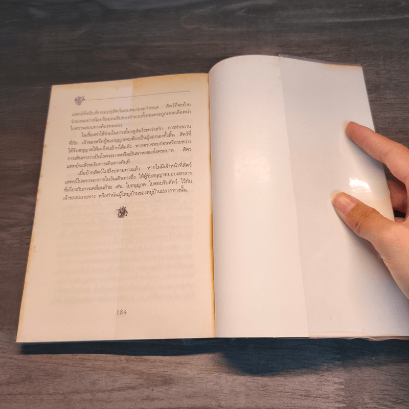 ความรู้เกี่ยวกับการเลี้ยงโคเนื้อ