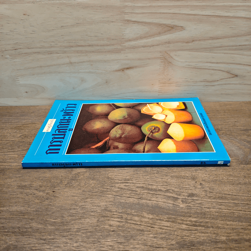 ความรู้เกี่ยวกับการปลูกมะพร้าว