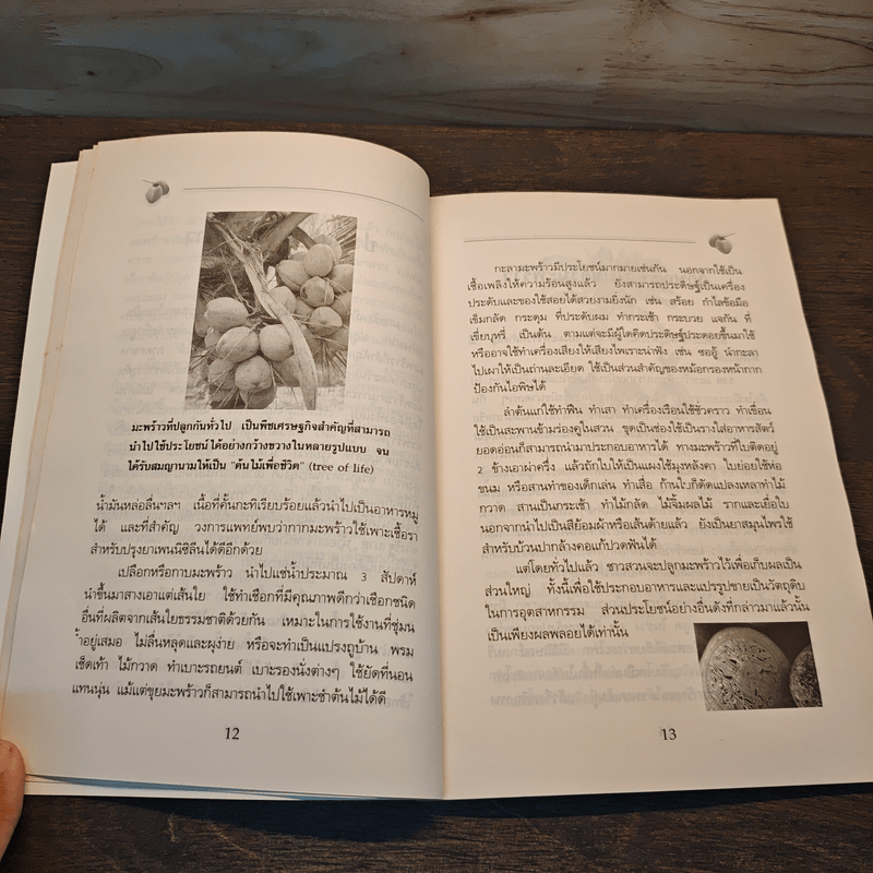 ความรู้เกี่ยวกับการปลูกมะพร้าว