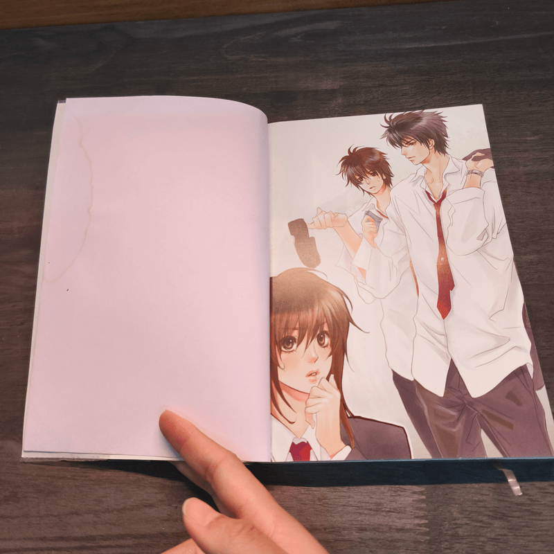 Blacklist ปิดบัญชีลับฉีกกฎหัวใจให้เรารักกัน - ปุยฝ้าย