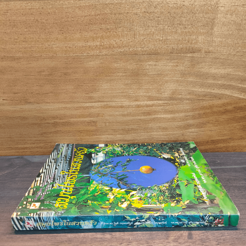 สมุนไพรในสวนครัว - ลลิตา วีระเสถียร