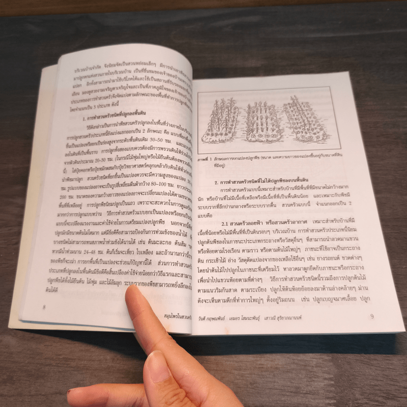 สมุนไพรในสวนครัว - ลลิตา วีระเสถียร