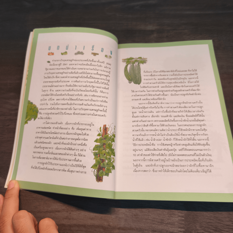 สวนผักรักษ์ไทย โครงการเฉลิมพระเกียรติเนื่องในโอกาสพระราชพิธีมหามงคลฯ