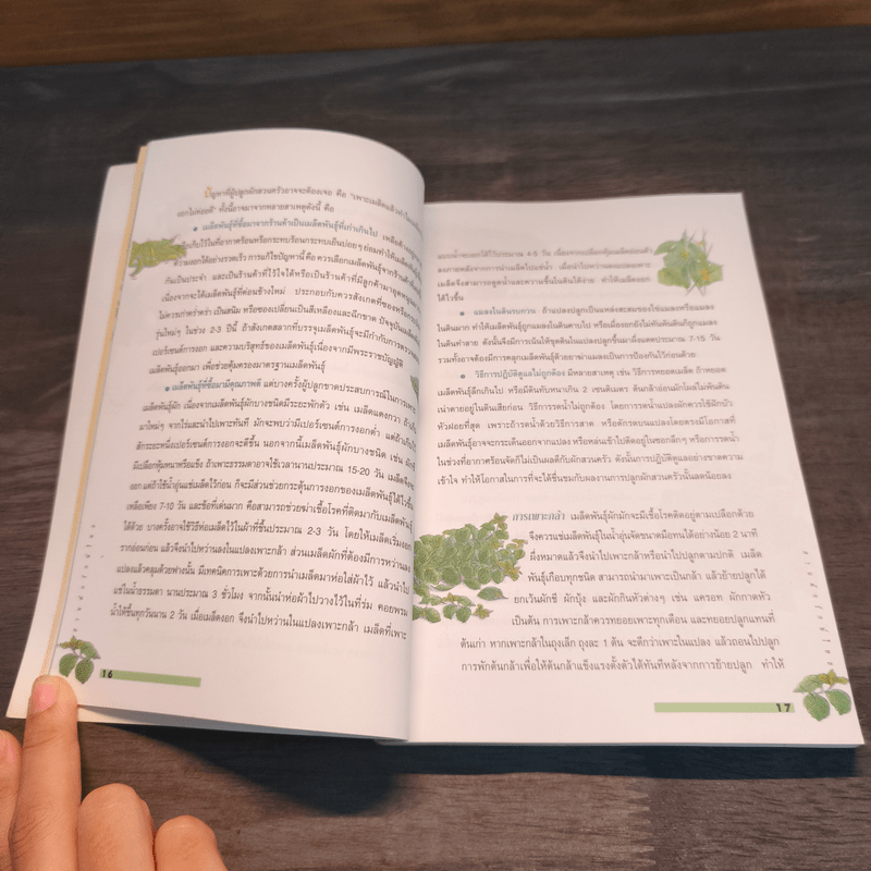 สวนผักรักษ์ไทย โครงการเฉลิมพระเกียรติเนื่องในโอกาสพระราชพิธีมหามงคลฯ