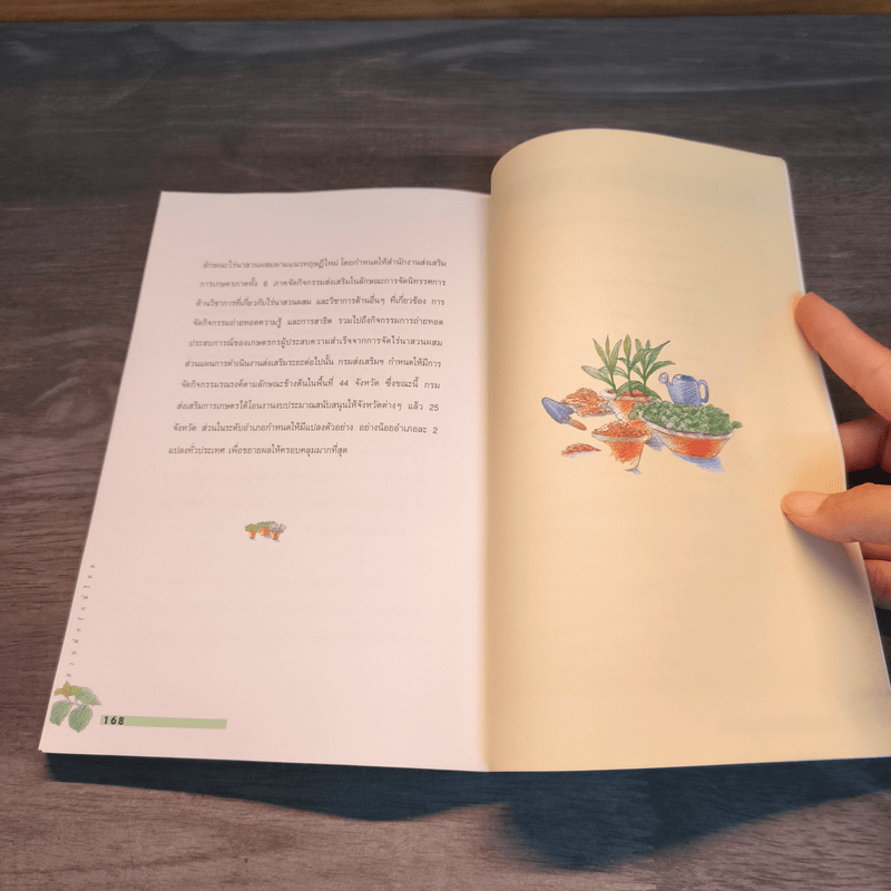 สวนผักรักษ์ไทย โครงการเฉลิมพระเกียรติเนื่องในโอกาสพระราชพิธีมหามงคลฯ