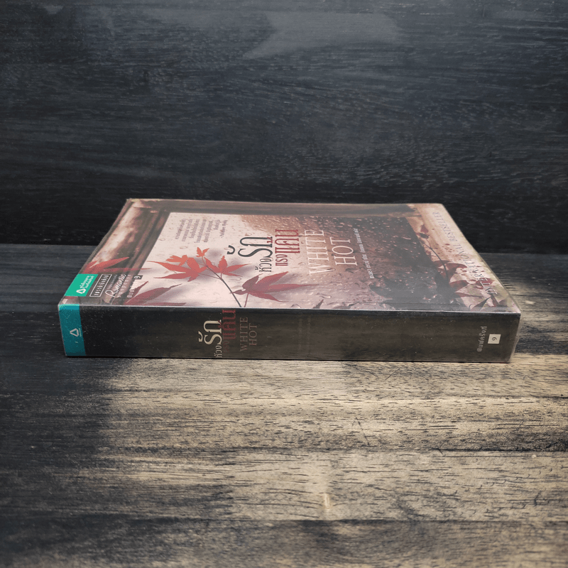 ห้วงรักแรงแค้น - Sandra Brown (แซนดรา บราวน์)