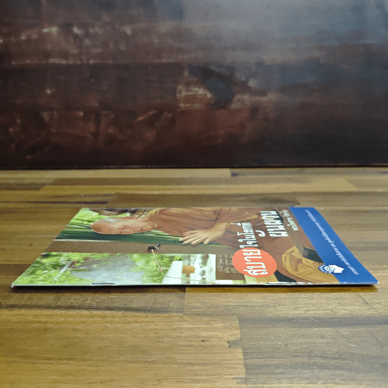 สบายใจในโลกที่ผันผวน - พระไพศาล วิสาโล