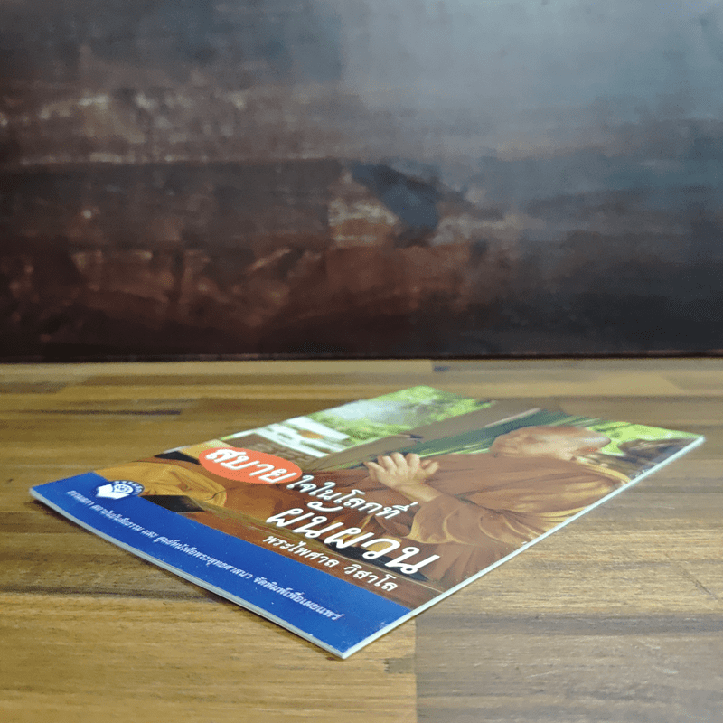 สบายใจในโลกที่ผันผวน - พระไพศาล วิสาโล