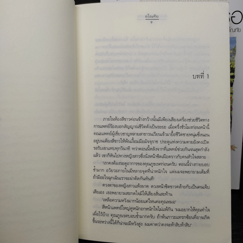 คือทุกสิ่งเพื่อเธอ 2 เล่มจบ - อโณทัย