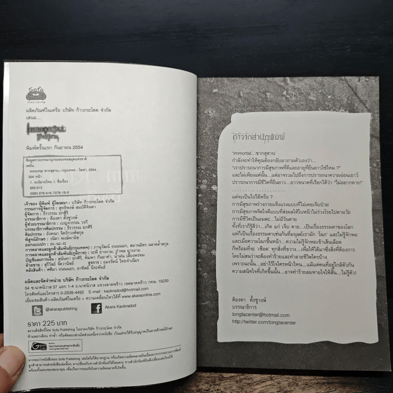 Immortal ซากสุสาน - เตมัน