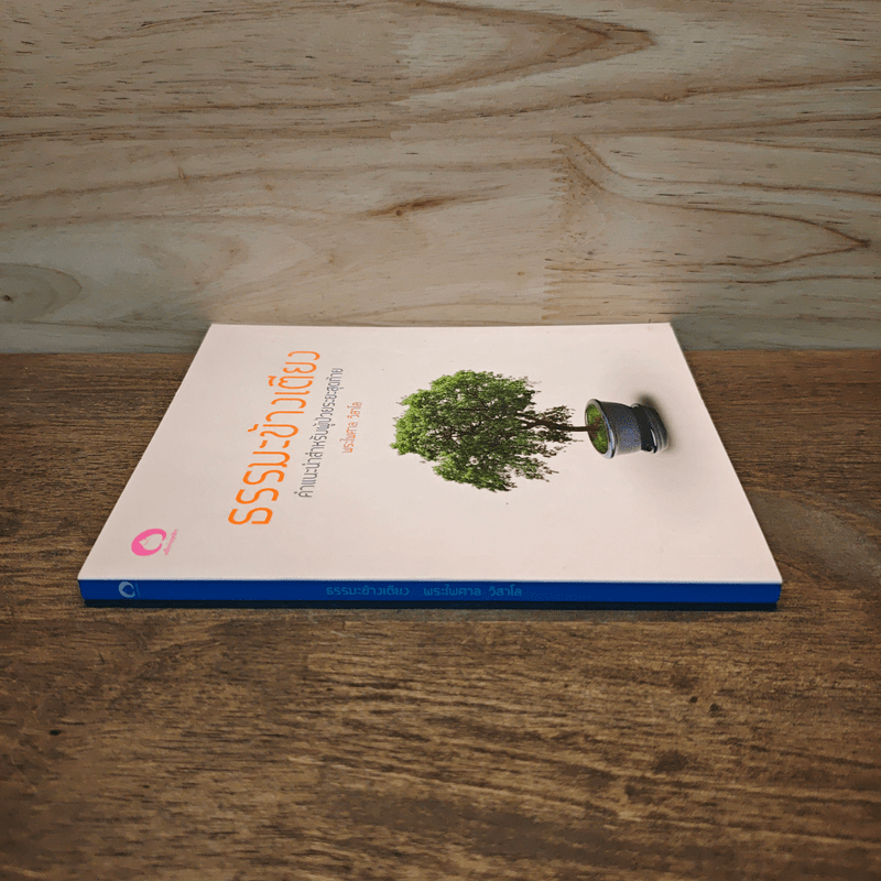 ธรรมะข้างเตียง คำแนะนำสำหรับผู้ป่วยระยะสุดท้าย - พระไพศาล วิสาโล