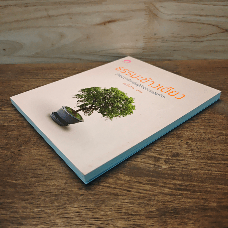 ธรรมะข้างเตียง คำแนะนำสำหรับผู้ป่วยระยะสุดท้าย - พระไพศาล วิสาโล