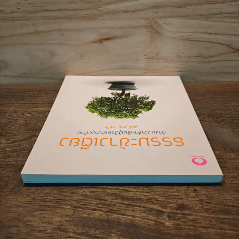 ธรรมะข้างเตียง คำแนะนำสำหรับผู้ป่วยระยะสุดท้าย - พระไพศาล วิสาโล