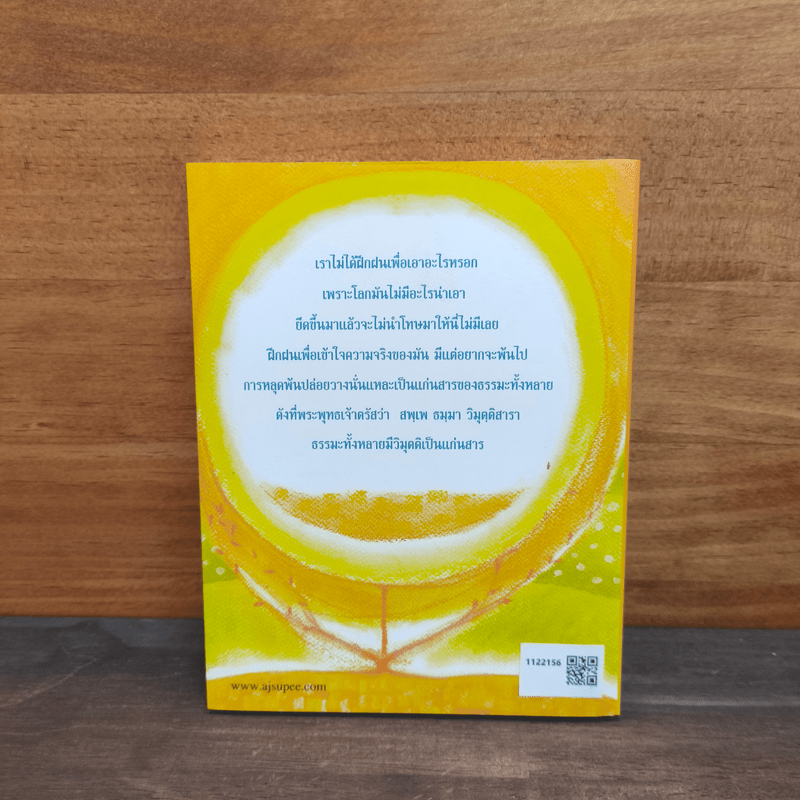 ปัญญาญาณ - สุภีร์ ทุมทอง