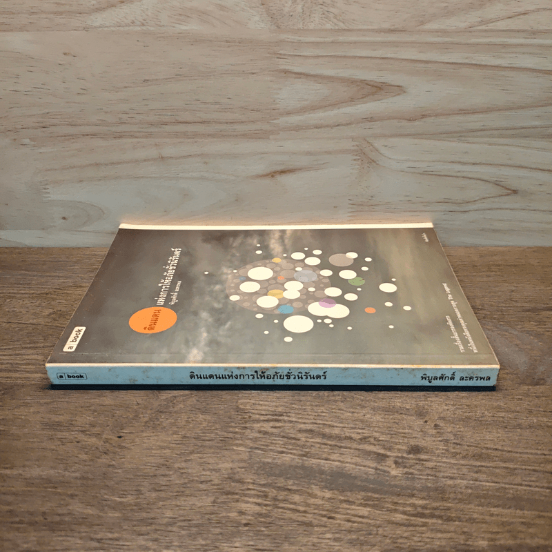 ดินแดนแห่งการให้อภัยชั่วนิรันดร์ - พิบูลศักดิ์ ละครพล