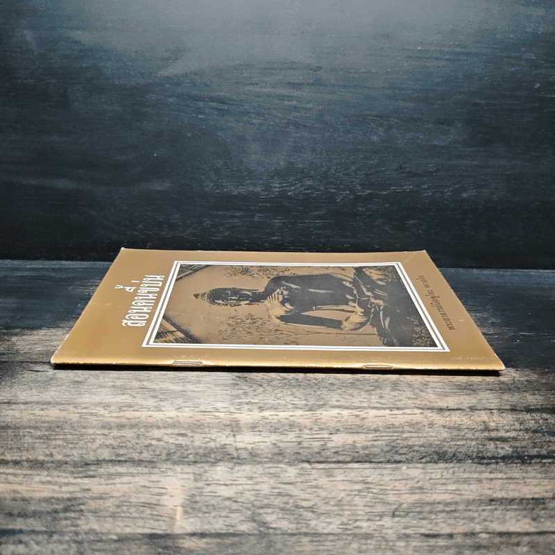 สอนคนขี้บ่น - พระอาจารย์มิตซูโอะ คเวสโก