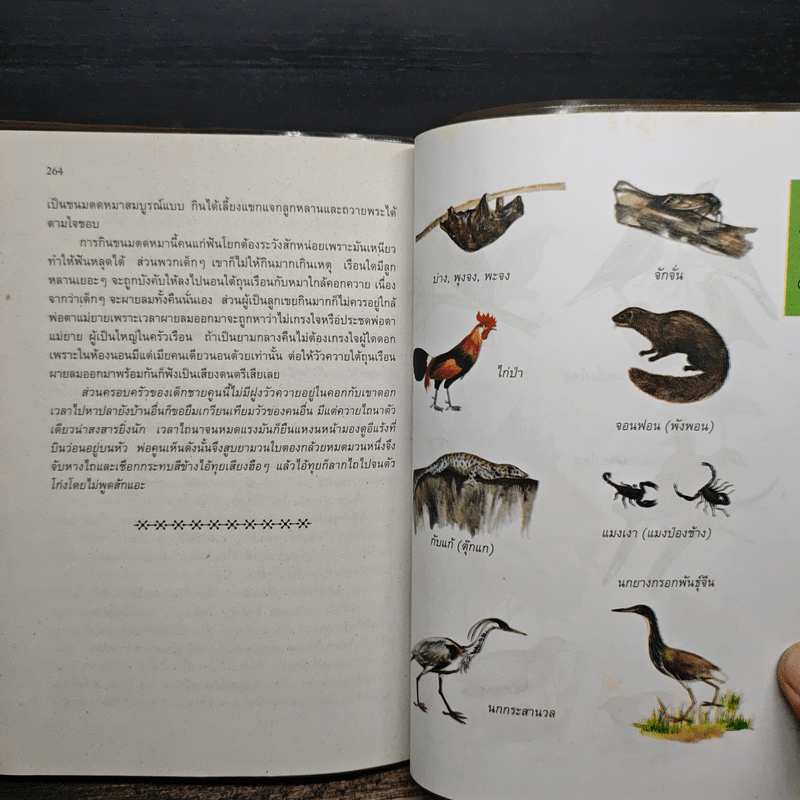 ลูกอีสาน - คำพูน บุญทวี