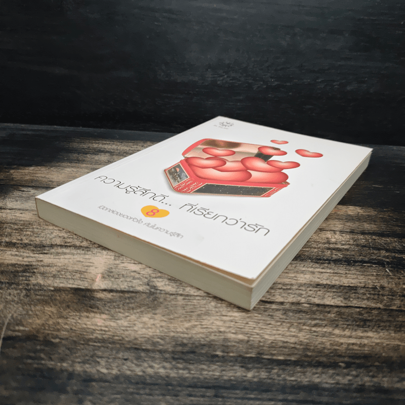 ความรู้สึกดี...ที่เรียกว่ารัก 8