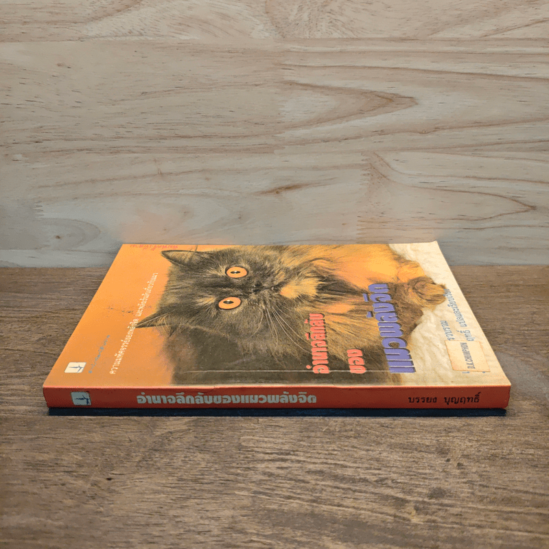 อำนาจลึกลับของแมวพลังจิต