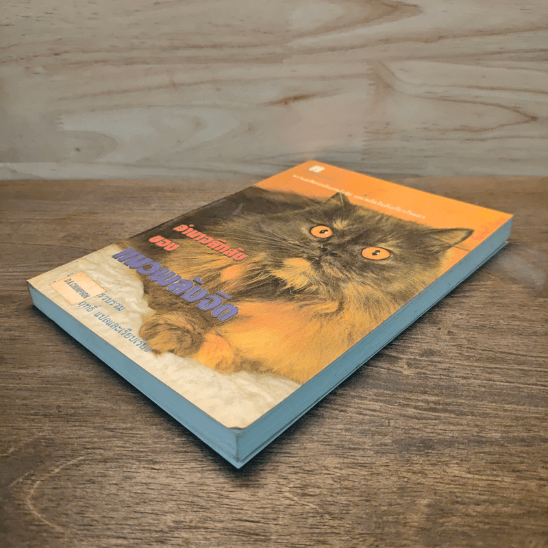 อำนาจลึกลับของแมวพลังจิต