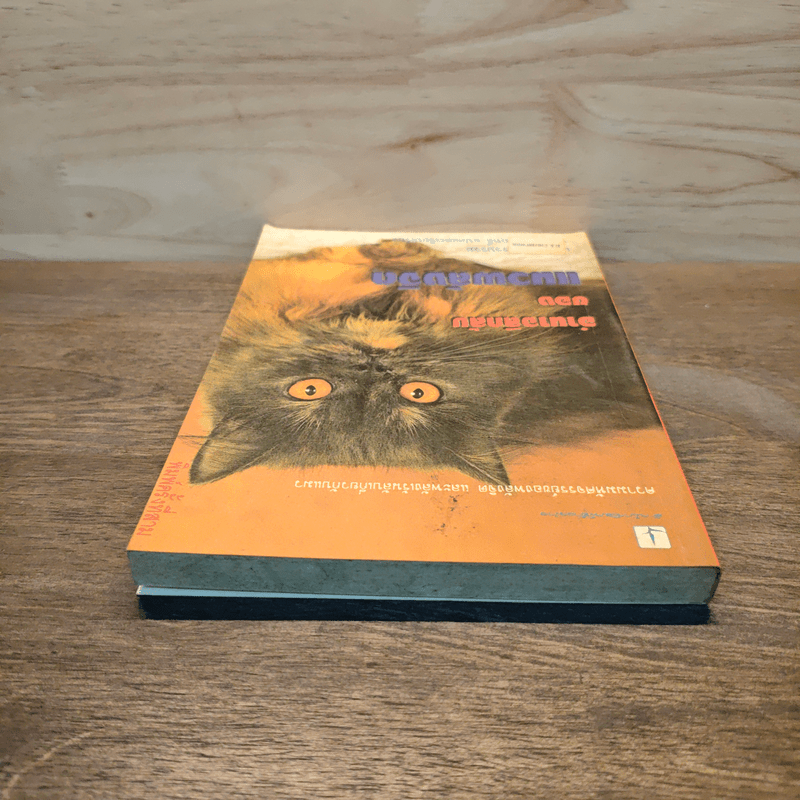 อำนาจลึกลับของแมวพลังจิต