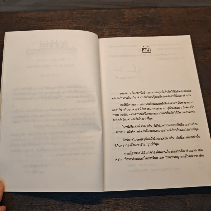 อำนาจลึกลับของแมวพลังจิต