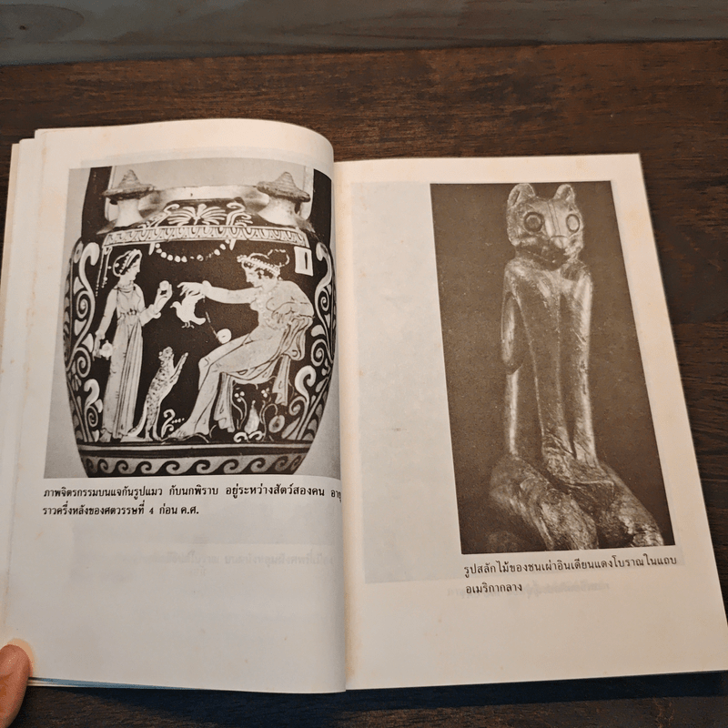 อำนาจลึกลับของแมวพลังจิต