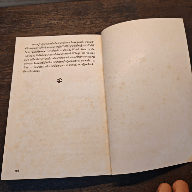 อำนาจลึกลับของแมวพลังจิต