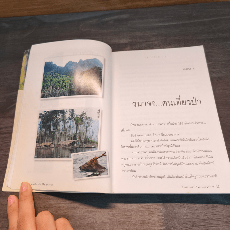 หลากชีวิต อินเดียนน่า โจ๋ย บางจาก - สันติธร