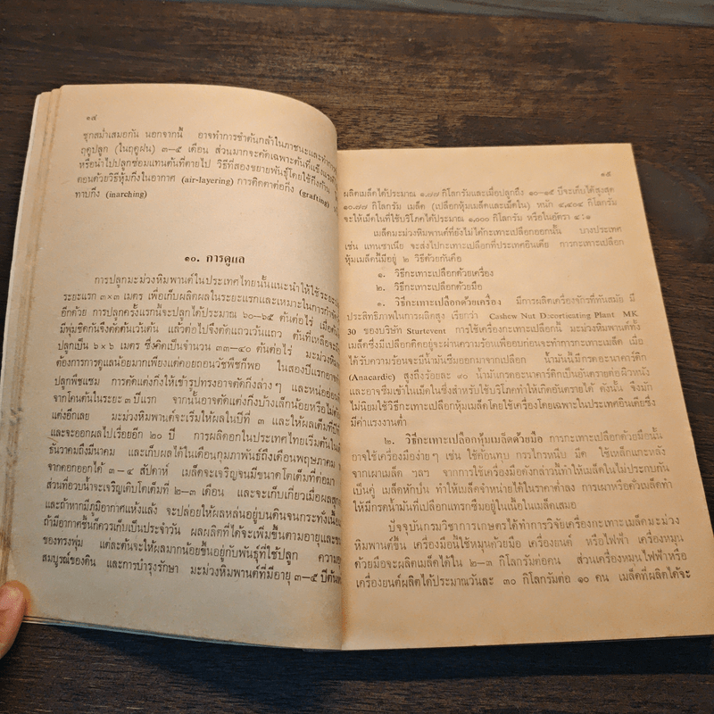 ไม้ผลที่น่าสนใจ