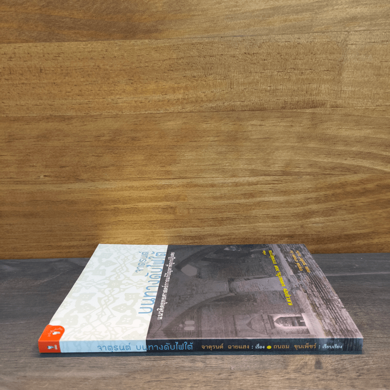 จาตุรนต์บนทางดับไฟใต้ - จาตุรนต์ ฉายแสง