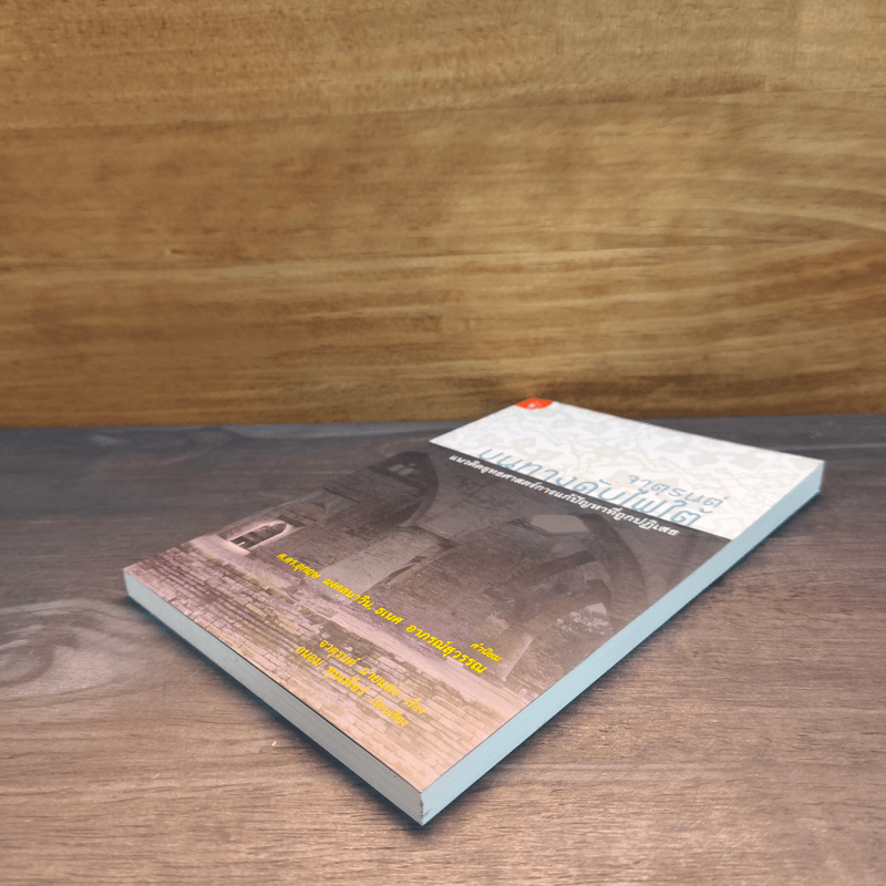 จาตุรนต์บนทางดับไฟใต้ - จาตุรนต์ ฉายแสง