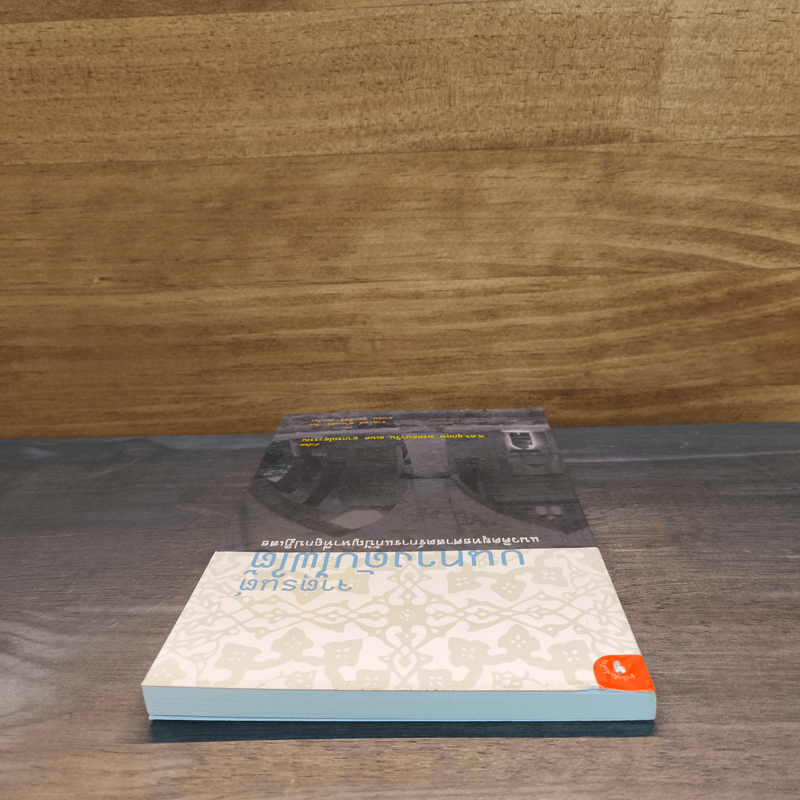 จาตุรนต์บนทางดับไฟใต้ - จาตุรนต์ ฉายแสง