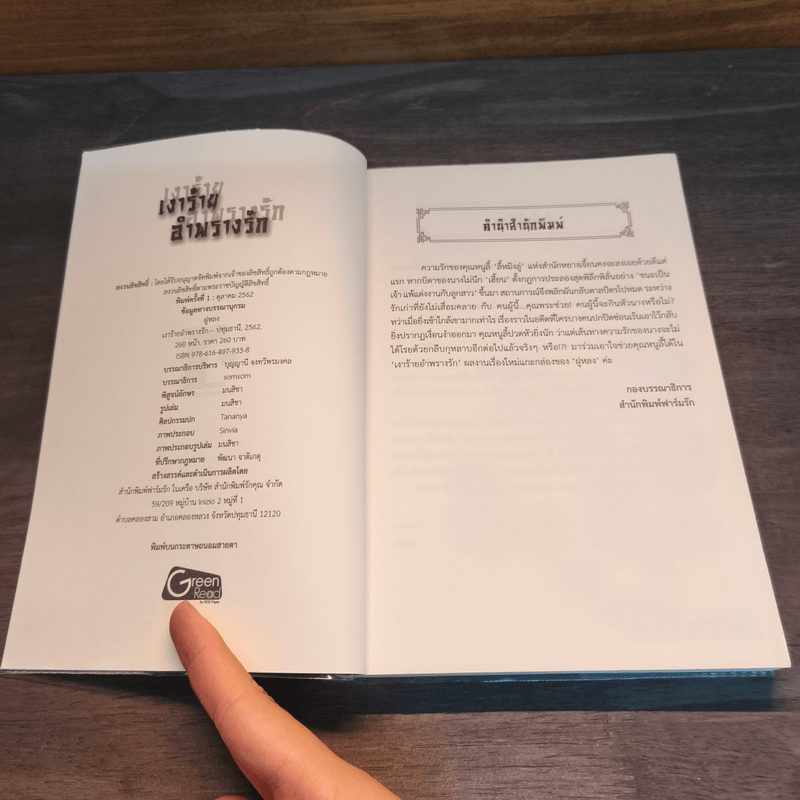 เงาร้ายอำพรางรัก - ฝูหลง