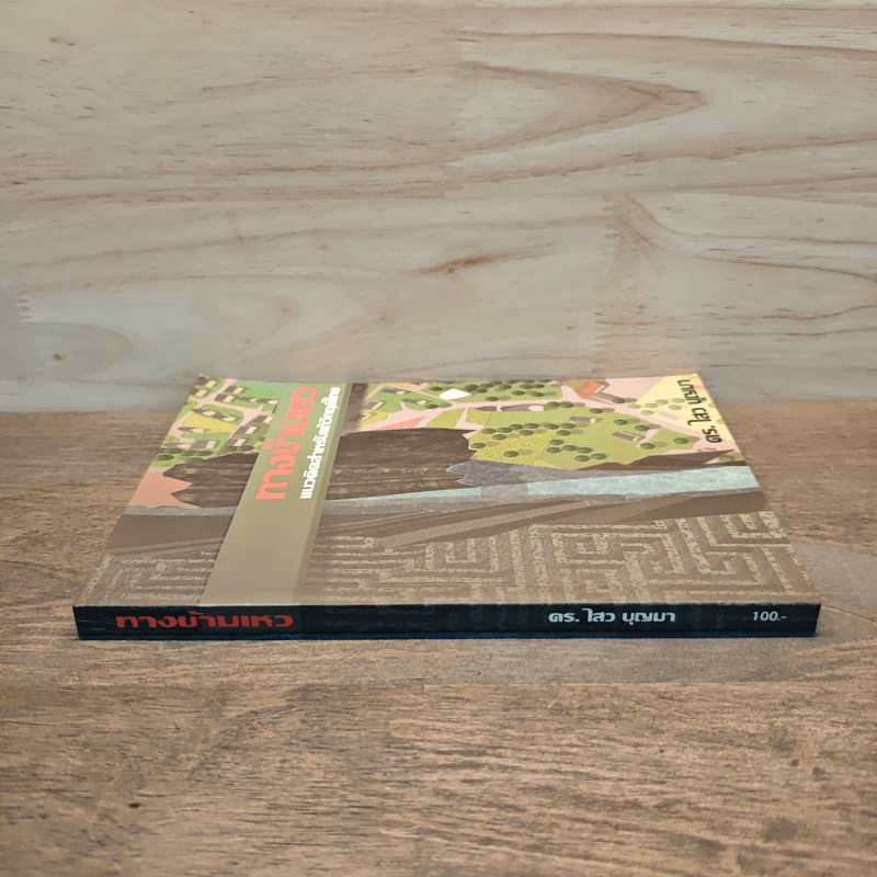 ทางข้ามเหว แนวคิดสำหรับแก้วิกฤติไทย - ดร.ไสว บุญมา