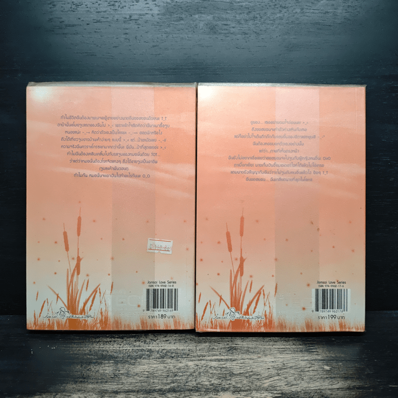 หนุ่มสุดเซี้ยวขอเอี่ยวหัวใจ 2 เล่มจบ - Zagalchi Wal