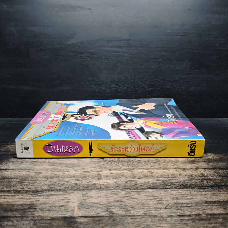 บินแหลก รักระหว่างไฟลท์ - อีแร้ง