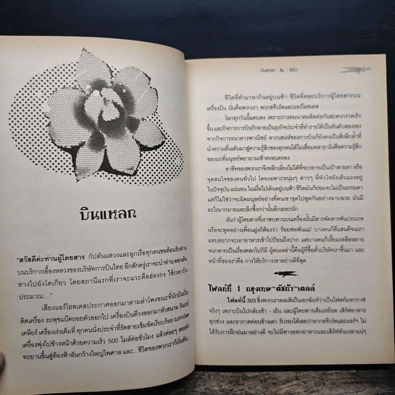 บินแหลก รักระหว่างไฟลท์ - อีแร้ง