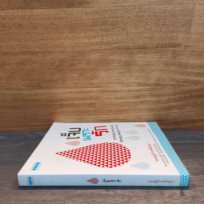 เจ็บเพราะรัก - ผมอยู่ข้างหลังคุณ