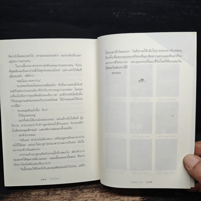 คลื่นลวง - กิ่งฉัตร