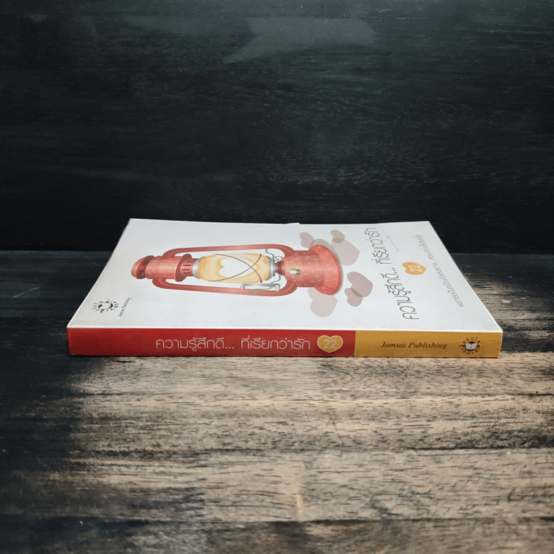 ความรู้สึกดี... ที่เรียกว่ารัก 22