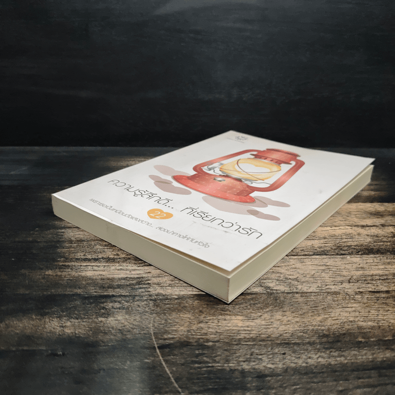 ความรู้สึกดี... ที่เรียกว่ารัก 22