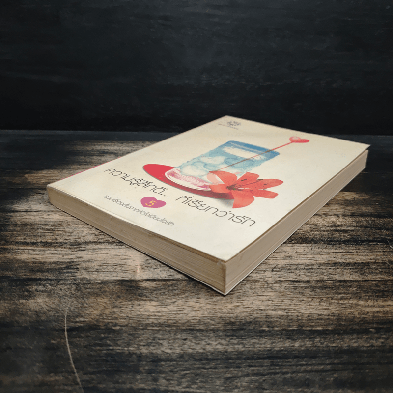 ความรู้สึกดี...ที่เรียกว่ารัก 5