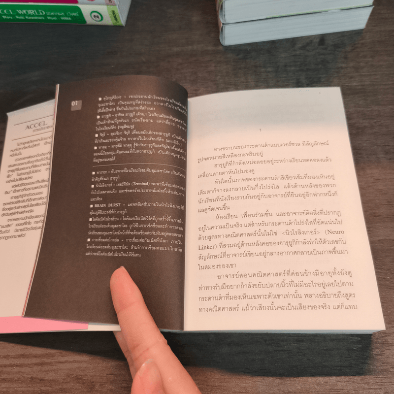 Accel World แอคเซล เวิลด์ เล่ม 1-20